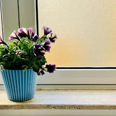 Deluxe One Bedroom 10 Meters From Center アパート *